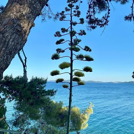 Ferienwohnung Zadar-city Daire *